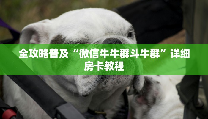 全攻略普及“微信牛牛群斗牛群”详细房卡教程