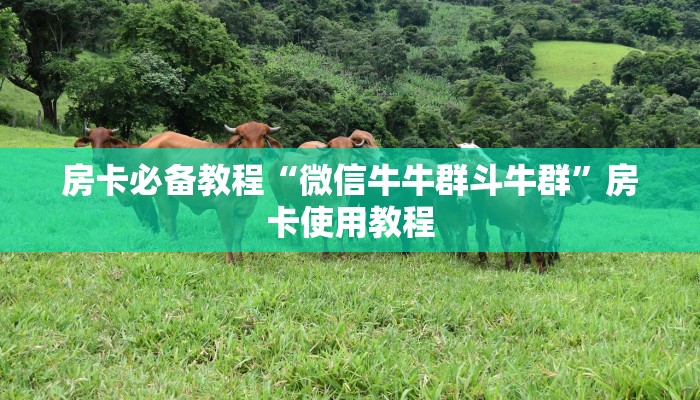 房卡必备教程“微信牛牛群斗牛群”房卡使用教程 房卡必备教程“微信牛牛群斗牛群”房卡使用教程