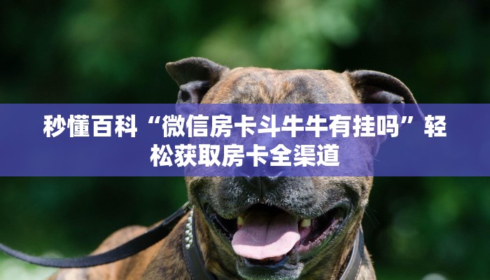 房卡必备教程“炸 金花客服代理”获取房卡教程-哔哩哔哩 房卡必备教程“炸 金花客服代理”获取房卡教程-哔哩哔哩