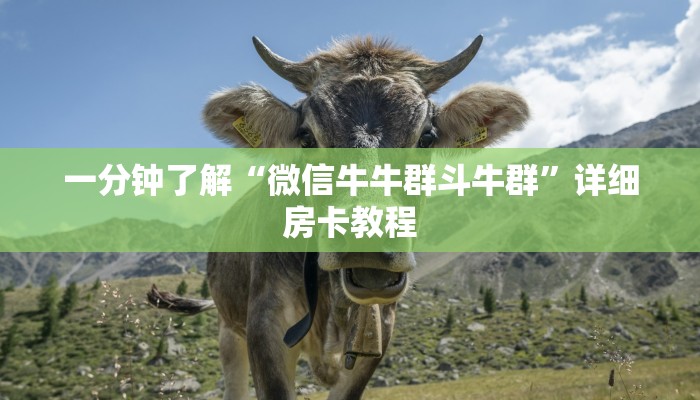 一分钟了解“微信牛牛群斗牛群”详细房卡教程 一分钟了解“微信牛牛群斗牛群”详细房卡教程