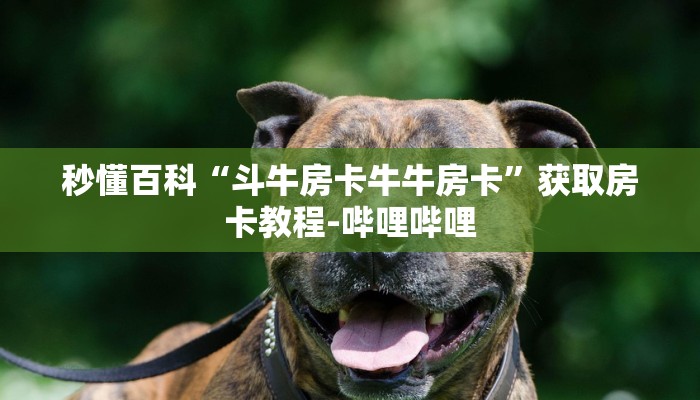 秒懂百科“斗牛房卡牛牛房卡”获取房卡教程-哔哩哔哩 秒懂百科“斗牛房卡牛牛房卡”获取房卡教程-哔哩哔哩