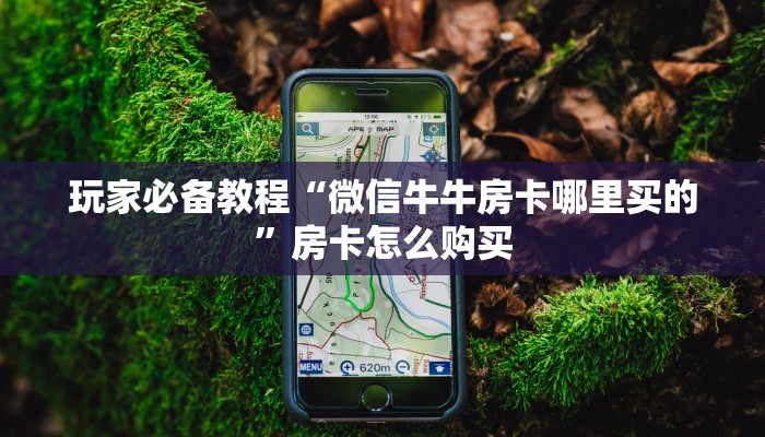 玩家必备教程“微信牛牛房卡哪里买的”房卡怎么购买 玩家必备教程“微信牛牛房卡哪里买的”房卡怎么购买